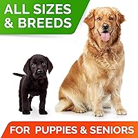 Vista 7 de STRELLALAB Golosinas de cáñamo + glucosamina para perros, suplemento de cadera y articulaciones, con aceite de cáñamo + proteína, condroitina, MSM