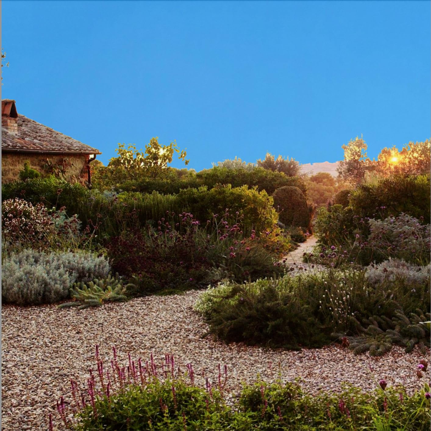 Pacciamatura Legno Abete Naturale 30LT - Per Giardino E Orto, Confezione In Sacco Di Juta - Foto 6