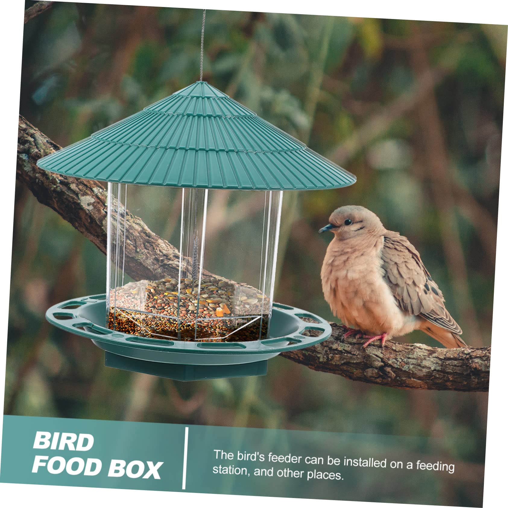 Hemobllo Suspendue pour Oiseaux Transparent Nourrisseur Multifonction pour Jardin Balcon Courtyard Décoration Alimentation Oiseaux Plein Air