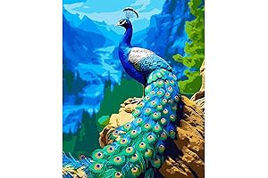 Peacock Paint by Numbers Canvas - Capture the Vibrant Beauty of Nature with Ease