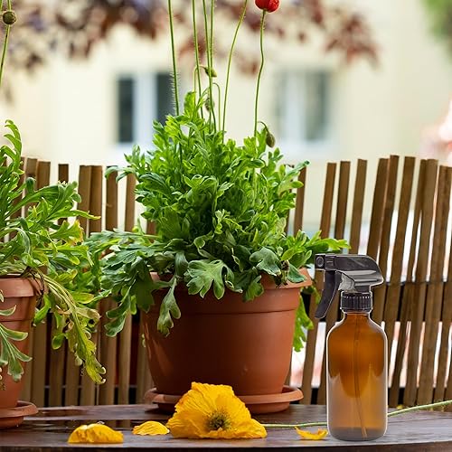 Miniatura 4 de Botellas de spray ronda Boston cristal ámbar de 8 onzas 2 paquetes rociadores resistentes niebla y corriente perfectos para las mezclas de aceites