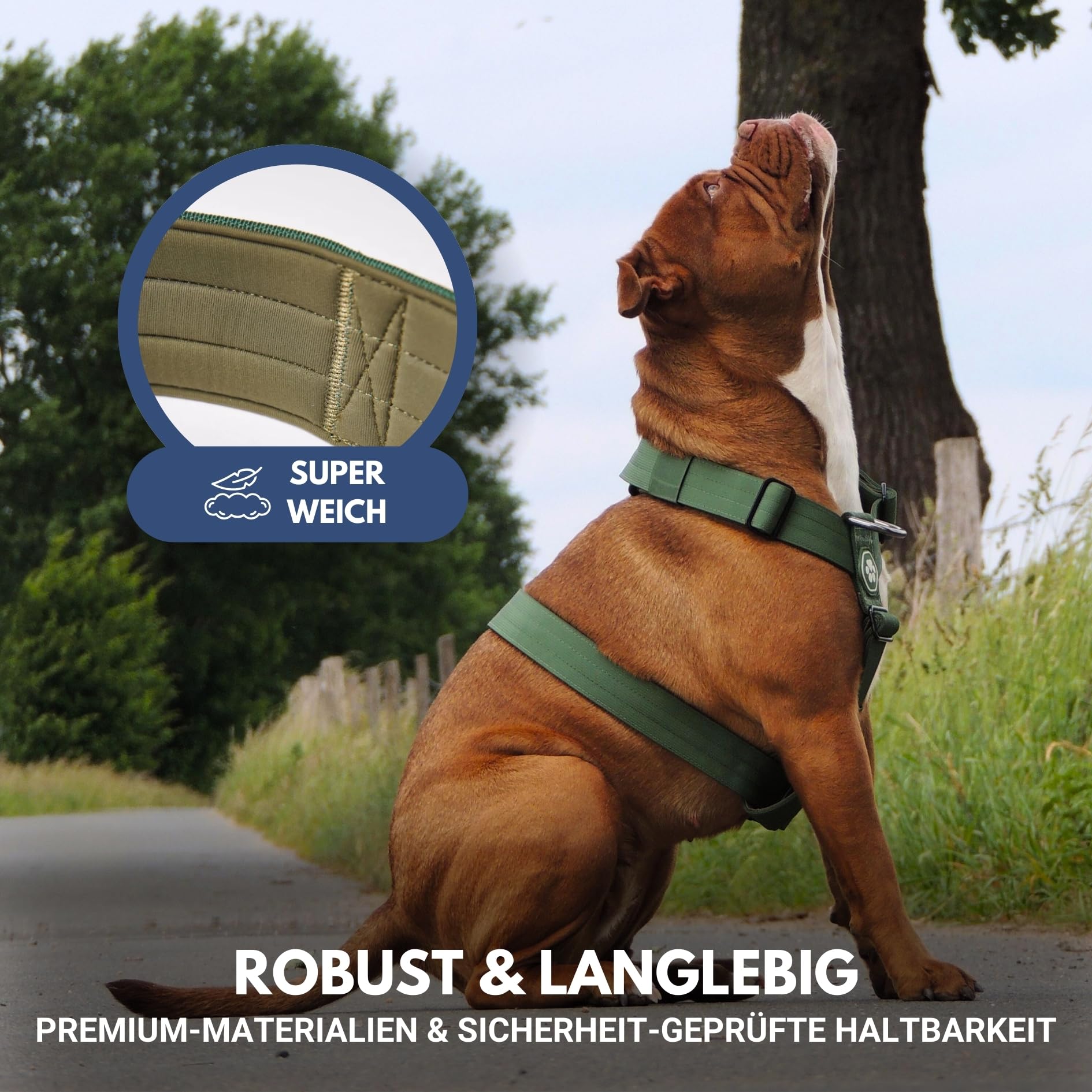 Spark Paws No Pull Hundegeschirr Grosse Hunde, Halterdesign mit Frontclip, Y Geschirr Hund, Robust und Strapazierfähig Harness für Große und Starke Rassen - Green, S