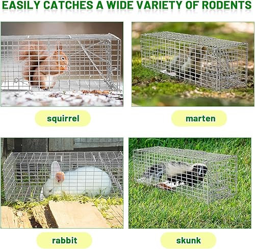 Miniatura 7 de Qualirey 2 Piezas Trampa para Ardillas Humana de Servicio Pesado Trampa Viva para Animales Ardilla Listada Atrapar y Liberar Trampa para Ratas para