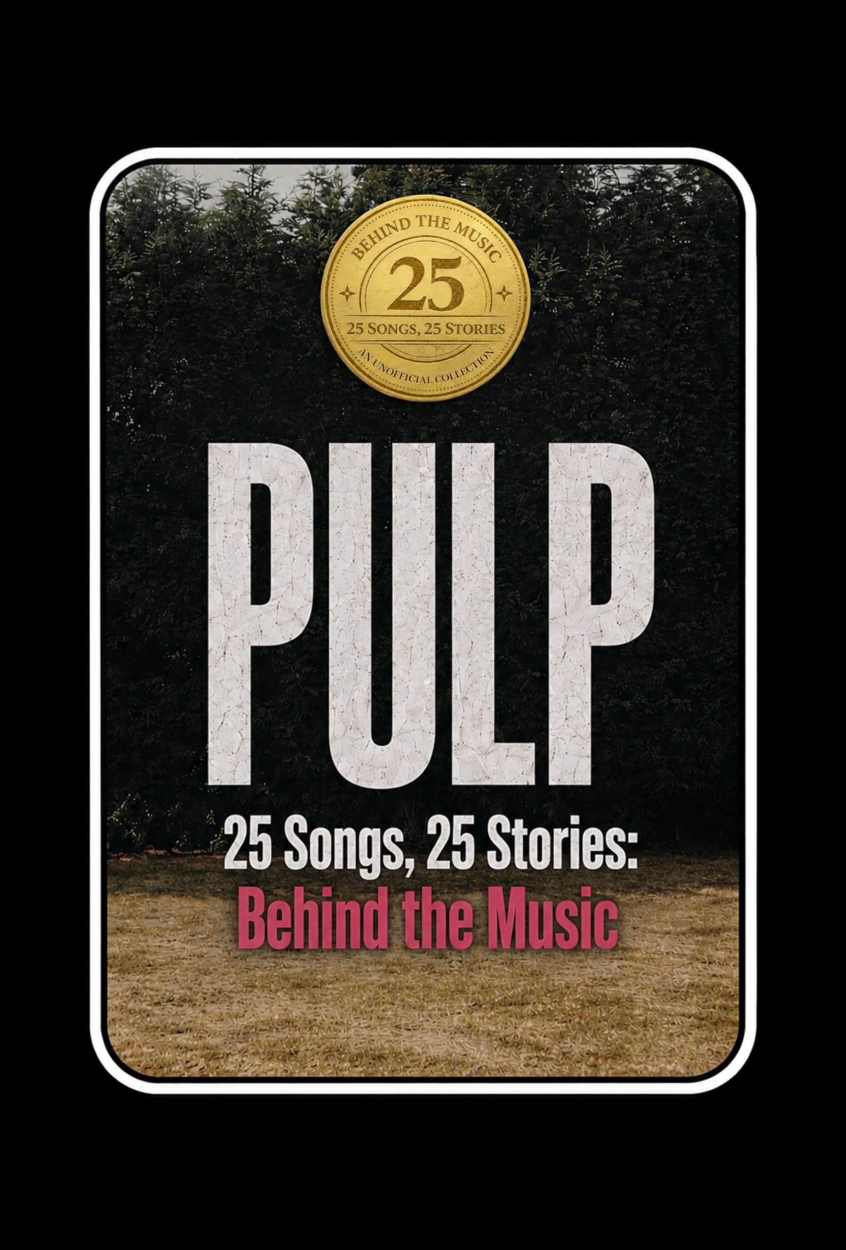 PULP 25 Songs 25 Stories livre en anglais sur l'histoire des chansons rock