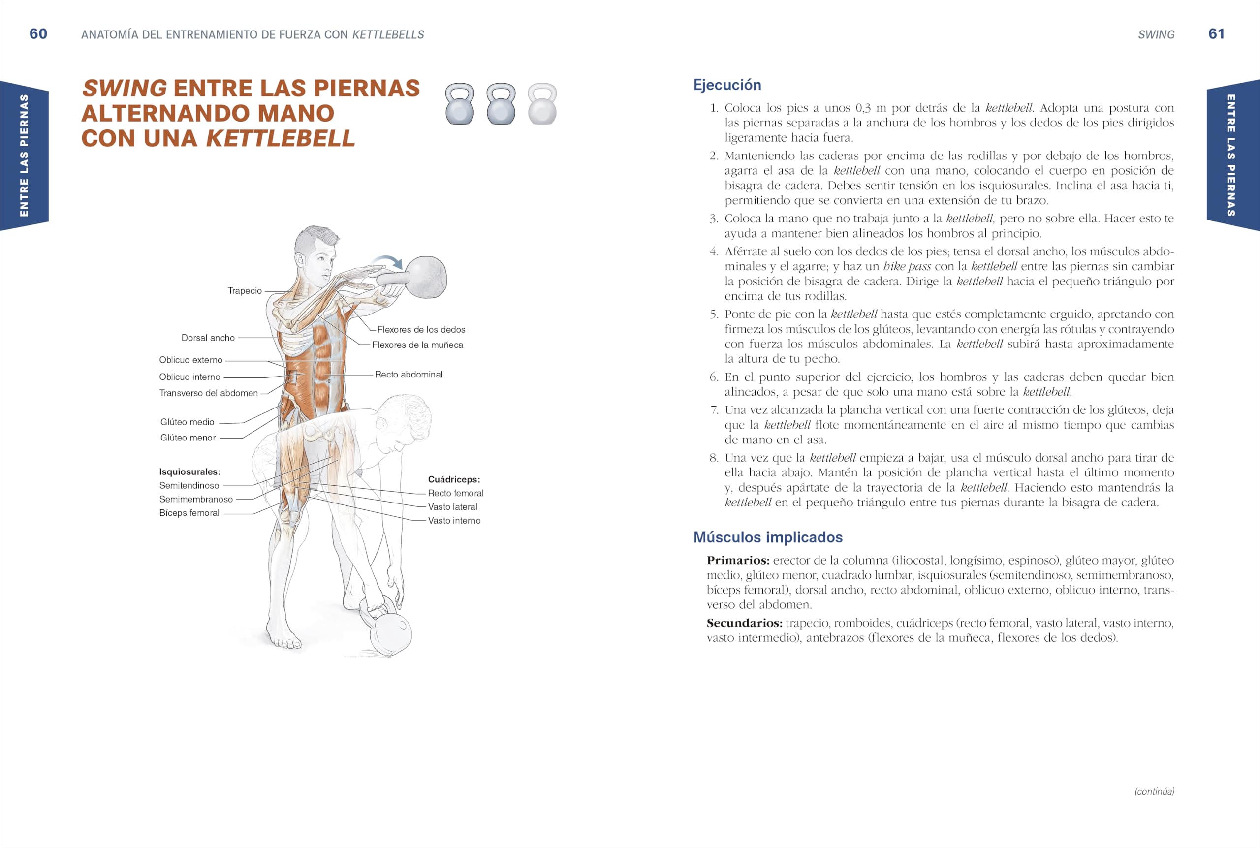 Anatomía del entrenamiento de fuerza con kettlebells
