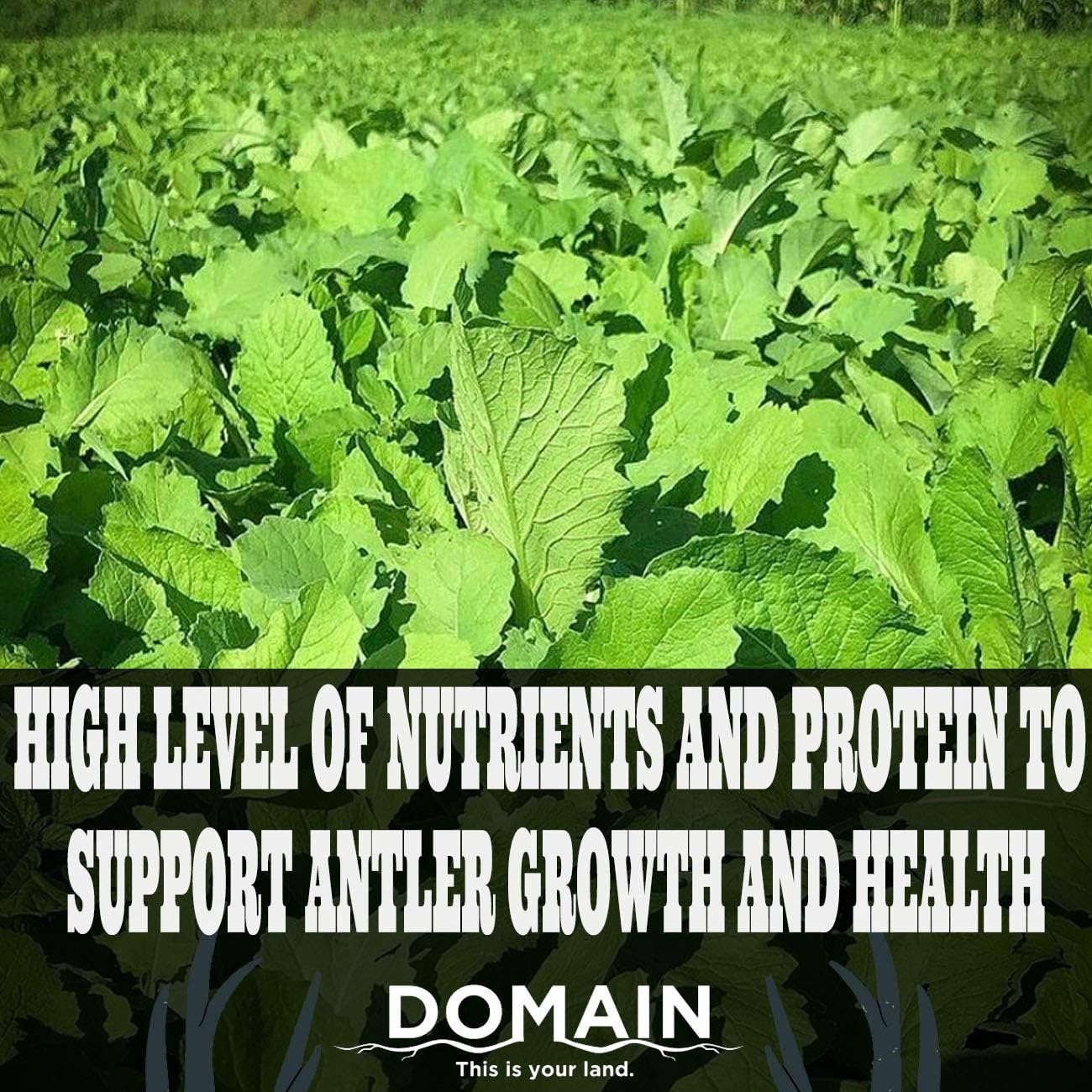 Domain Outdoor Big Sexy Deer Food Plot Seed, 1/2 Acre, High Level of Nutrients & Protein to Support Antler Growth and Health, Cold Tolerant, Fast Germination, Easy to Plant