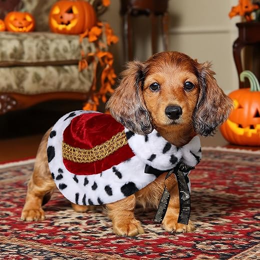 Dog King Costume, Faux Fur Dog Halloween Costume Royal Red King Cloak, King Queen Prince Princess Halloween Costumes for Cats Kitten Cape, M