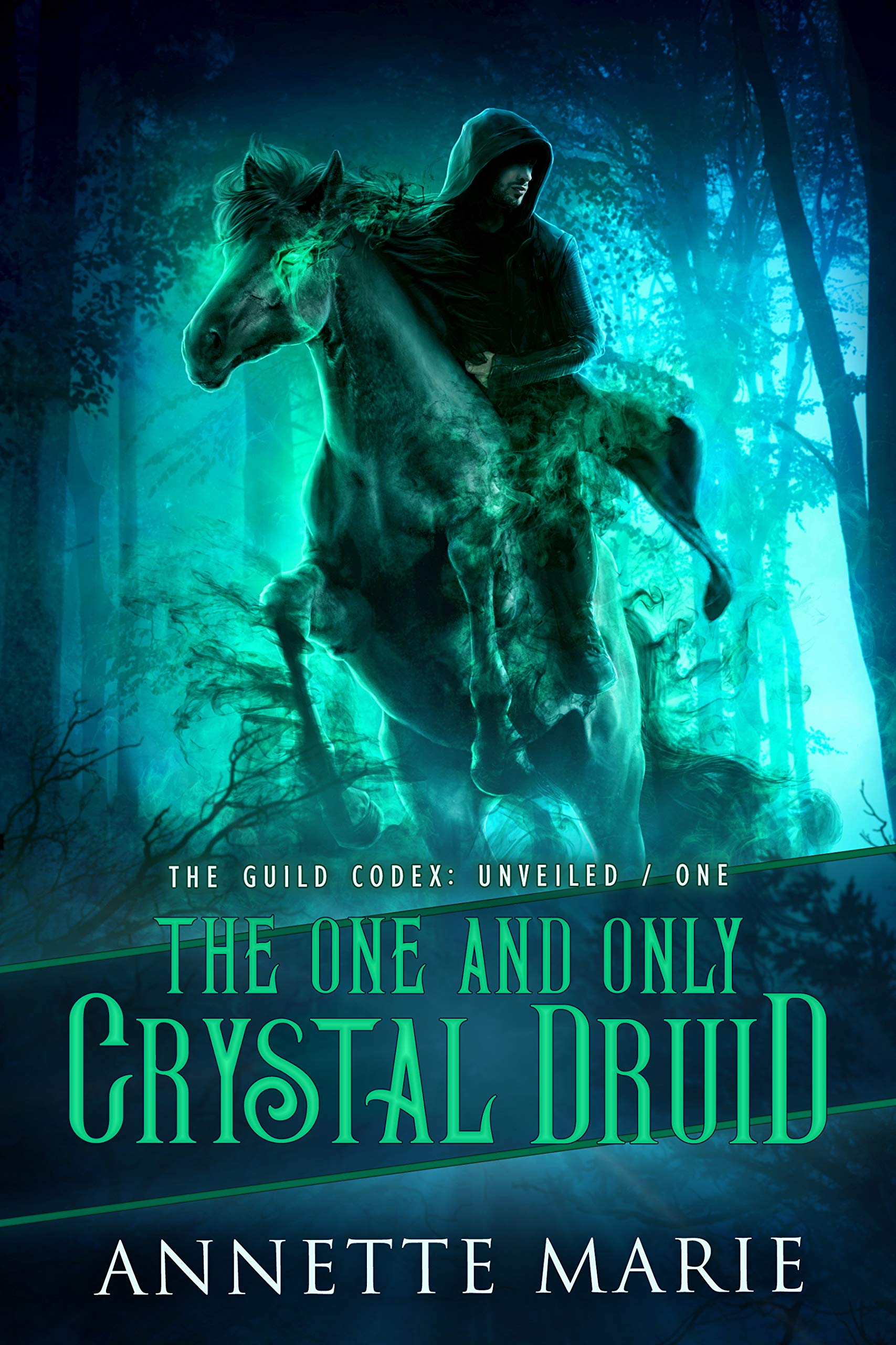 Cover of The One and Only Crystal Druid