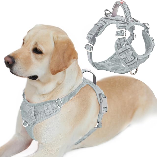 BARKBAY Arnés antitirones con Clip Frontal para Perro, Resistente, Reflectante