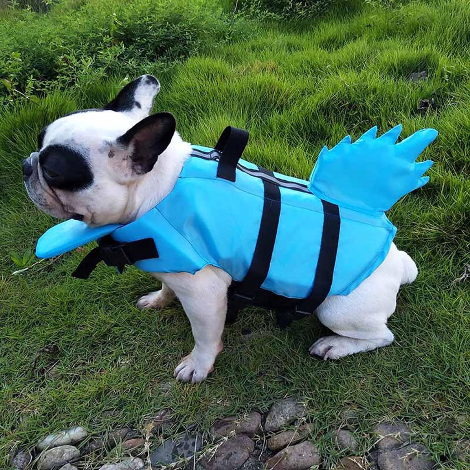 Adjustable Dog Life Jacket Vest Saver Safety Swimsuit Preserver with Handle Floatation Preserver for Surfing, Boating, Swimming (Color : Blue, Size : X-Small)