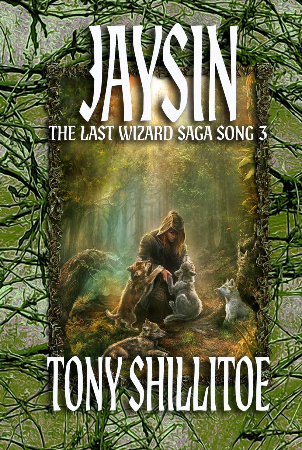 Jaysin: The Last Wizard Saga Song 3