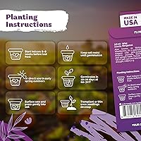 Vista 3 de KVITER 1,000 semillas de bergamota silvestre para plantar (Monarda fistulosa) – Bálsamo de abeja, flor silvestre nativa, imán polinizador, orgánico