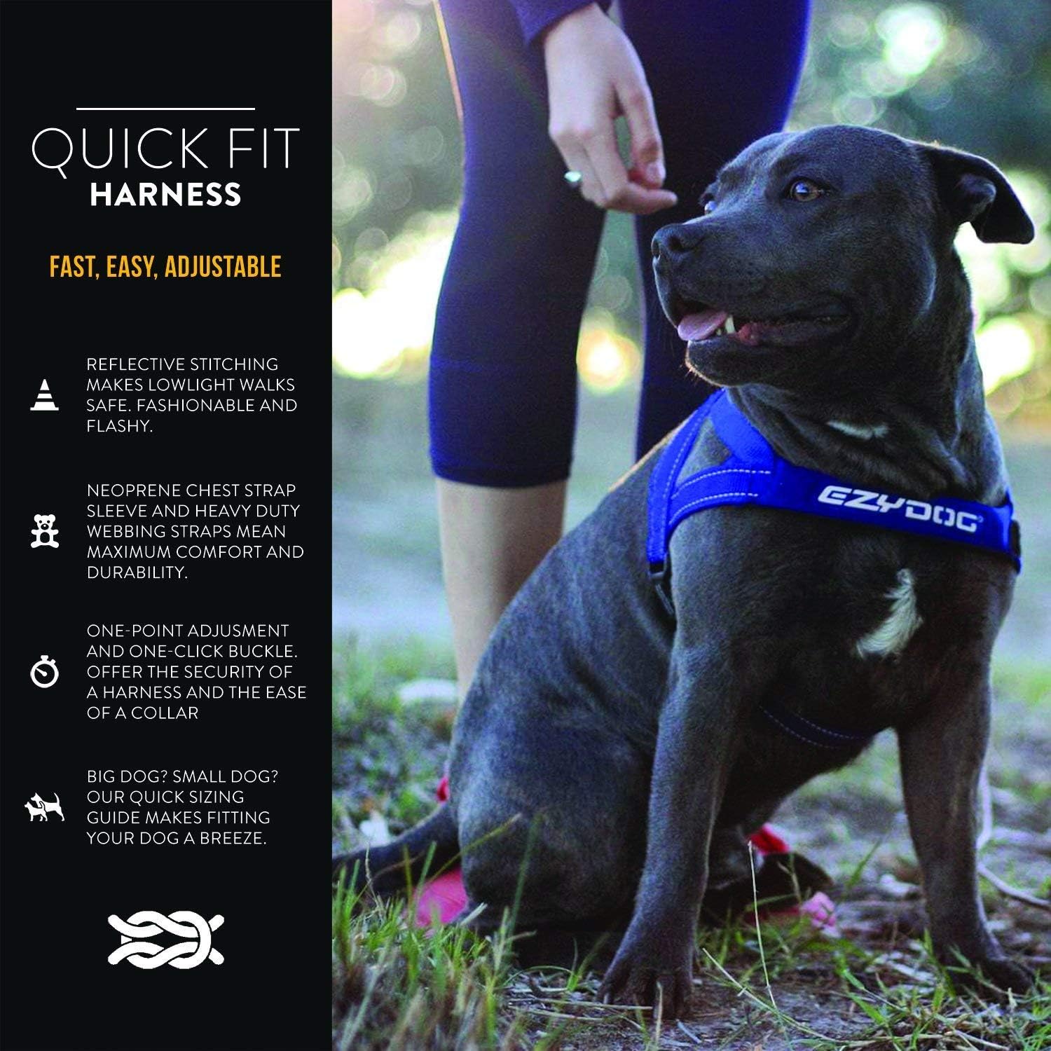 EzyDog Quick Fit No Pull Adjustable Harness Vest (Small, Black) and EzyDog Zero Shock Leash - Shock Absorbing, Control & Training Lead (48" Black)