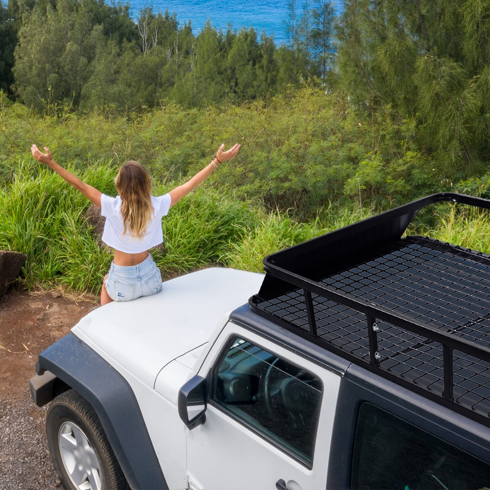 RELAX4LIFE Portapacchi da Tetto Universali per Auto Portata 75 KG, Cesto per Bagagli in Metallo, Tetto di Stoccaggio per Bagagli (122,5 x 102 x 15 cm)