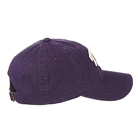 NCAA Zephyr Tcu Horned Frogs Mens Scholarship Relaxed Hat, Adjustable, Team Color