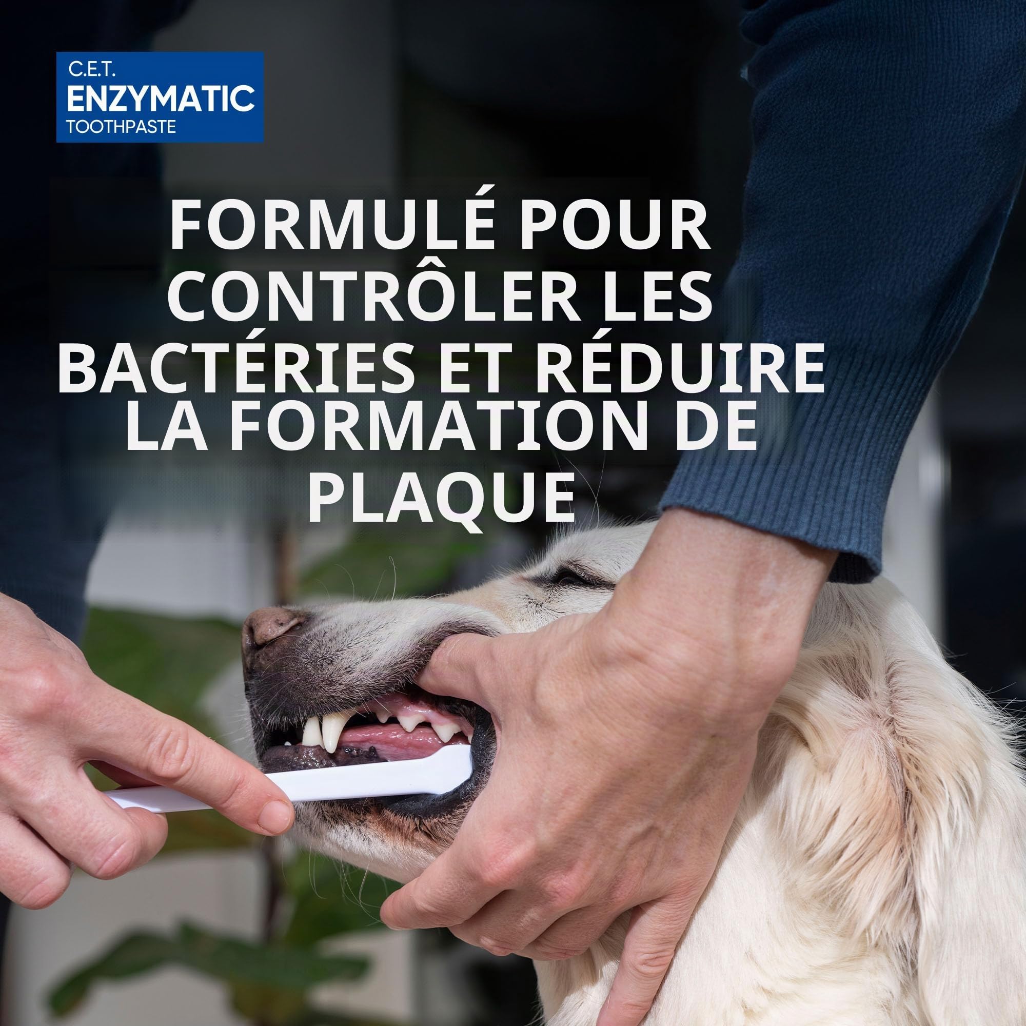 Virbac C.E.T. Dentifrice Enzymatique , Blanc/Bleu 70.9 G (Lot De 1)