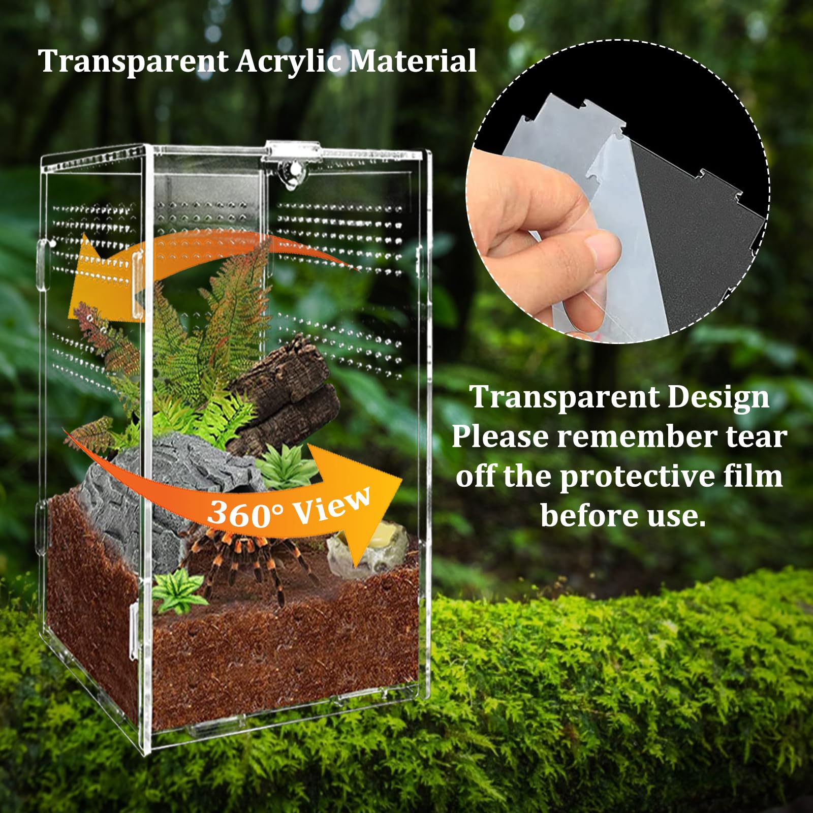 Boîte d'alimentation d'insectes, 12x12x20cm Transparent Boîte d'élevage en Acrylique pour Reptiles, avec Trous d'air, pour Araignées, Grenouilles Cornues, Coléoptères, Lézard et Autres Reptiles