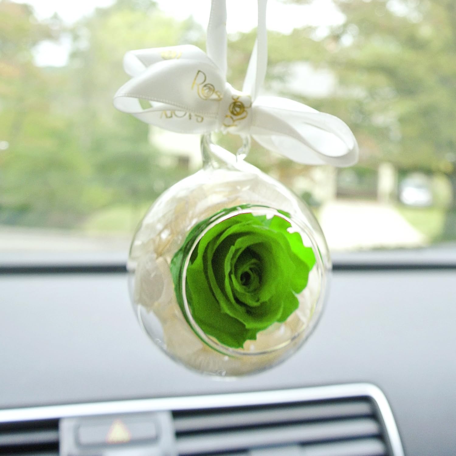 RoseStory|Preserved Green Rose Terrarium|Glass Hangning Terrarium Kit