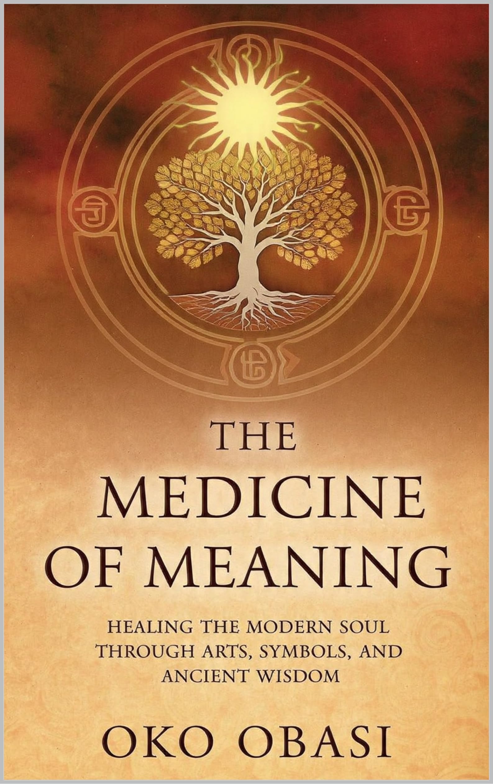Livre Medicine of Meaning guérison de l'âme et sagesse ancienne en anglais