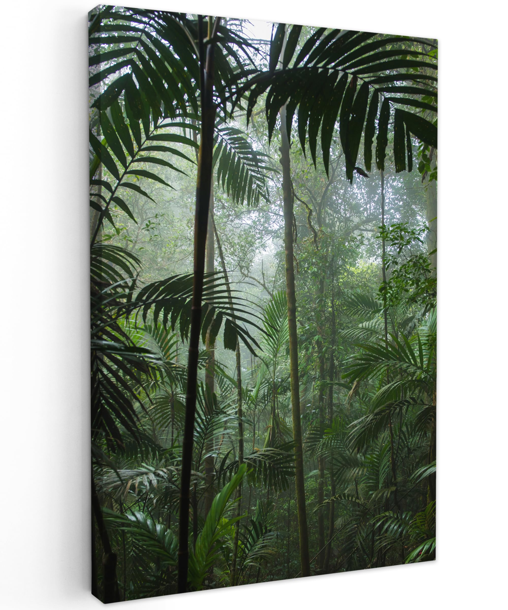 MuchoWow© Canvas Wall Art Work 16"x24" / 40x60 cm Room Decor Painting Wallfillers Picture Decoration Prints Rainforest - Tropical - Jungle - Trees - Plants