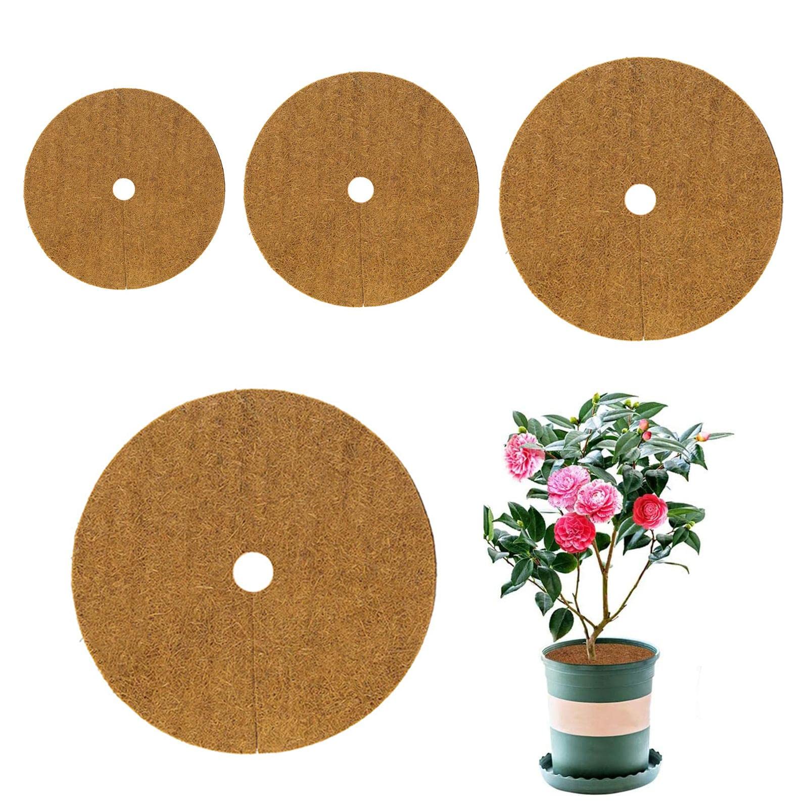 Lot de 10 tapis de paillage en fibre de coco de 20/30/40/50 cm de diamètre en forme d'anneau pour plantes et arbres en pot d'intérieur et d'extérieur.