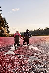 Ocean Spray Diet Cranberry Juice Drink, 64 Fl Oz Bottle (Pack of 8)