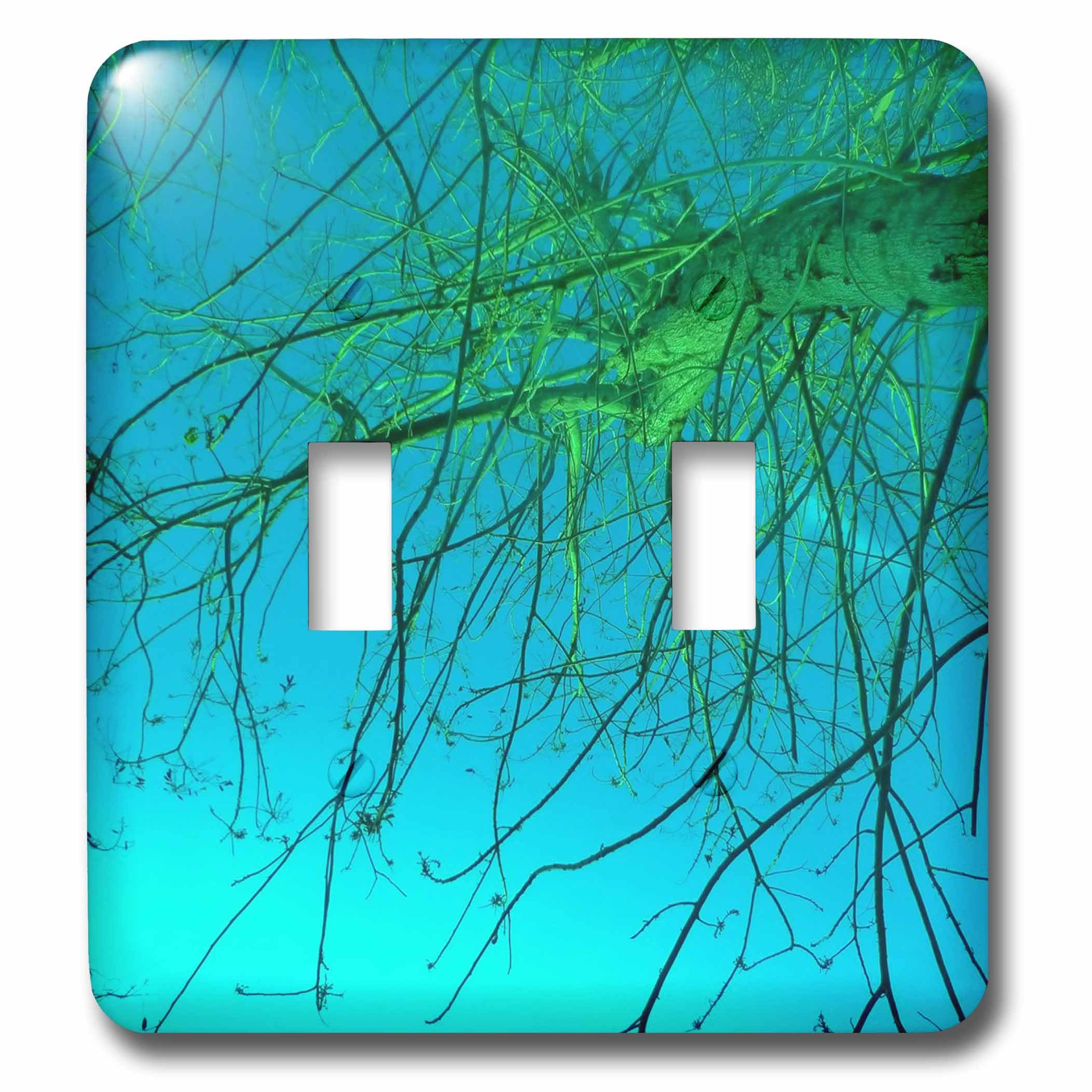 Interrupteur turquoise double bascule lsp_21497_2 robuste et facile à installer