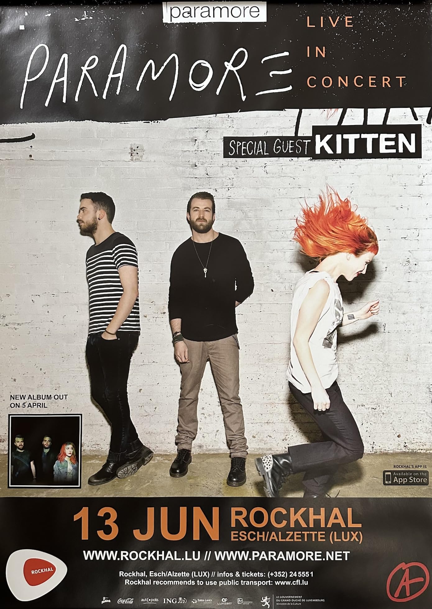 Affiche Paramore Live 2013 souvenir de concert poster 60x80cm