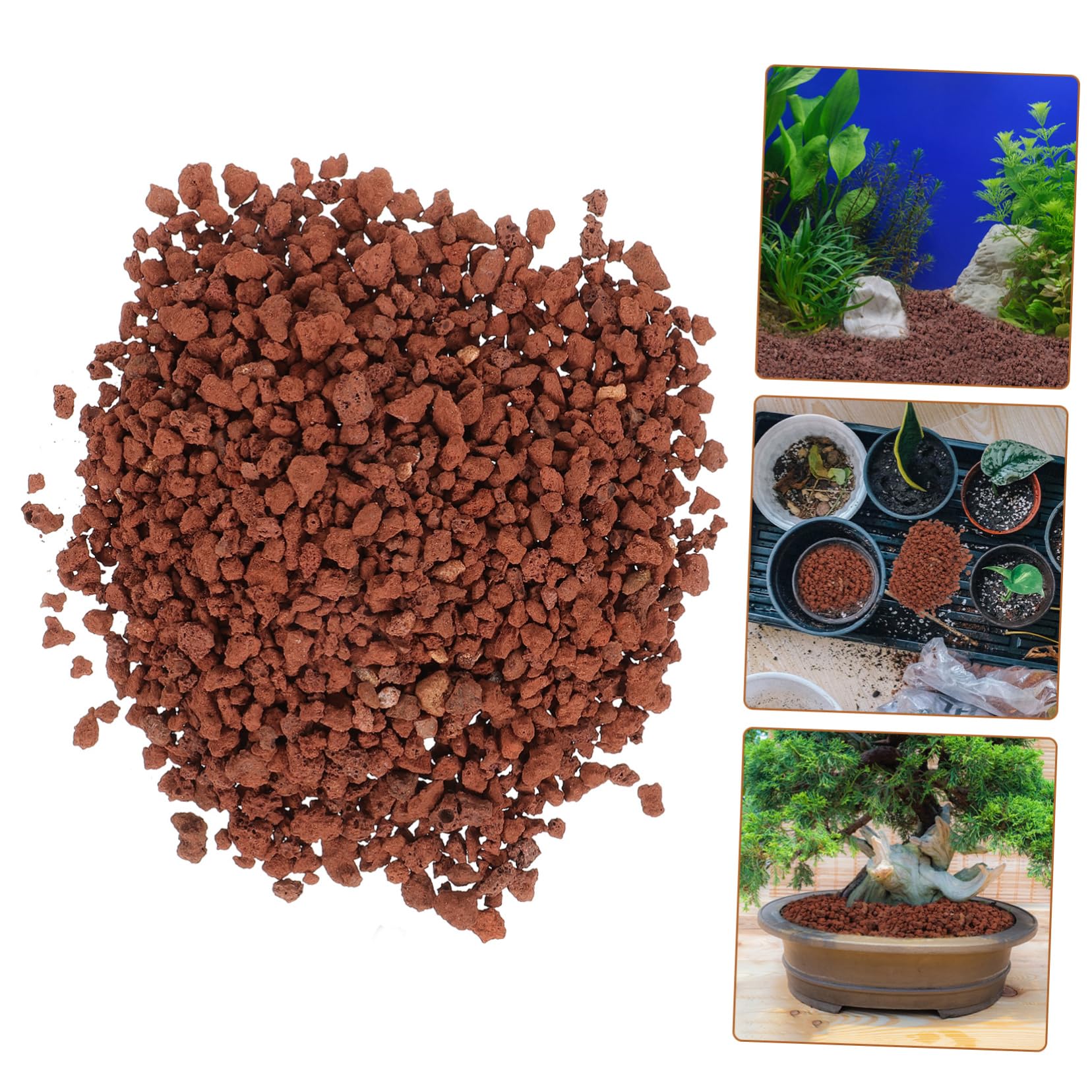 Sosoport Pietre Vulcaniche Decorative per Acquari e Piante per Decorazioni Naturali e per Vasi Acquari e Esterni