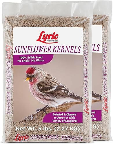 Miniatura 10 de Lyric Semillas de girasol para pájaros silvestres, sin desperdicios, alimento para pájaros que atrae a los pinzones y más, bolsa de 25 libras