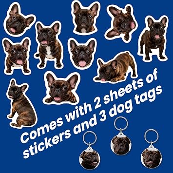 Brindle French Bulldog Dog Vest Harness, Lightweight & Comfortable No-Pull Design, with Reflective Trim, Includes 3 Frenchie QR Code Dog Tags & 2 Sticker Sheets, Smart Safety Harness Gift Set (M, Red)
