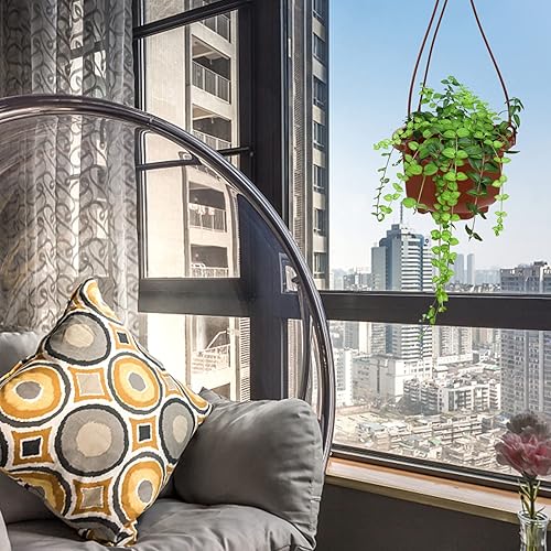 Miniatura 7 de 12 juegos de macetas colgantes pequeñas macetas colgantes macetas colgantes macetas colgantes macetas colgantes macetas de orquídeas colgantes