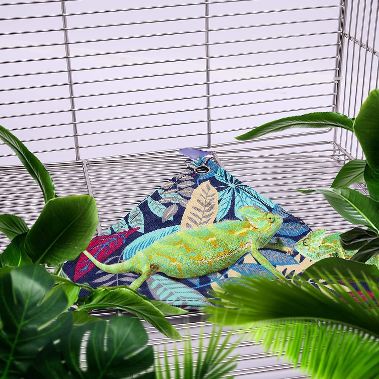 Buy Bearded Lizard Dragon Hammock , Reptile Lizard Lounger, Ladder