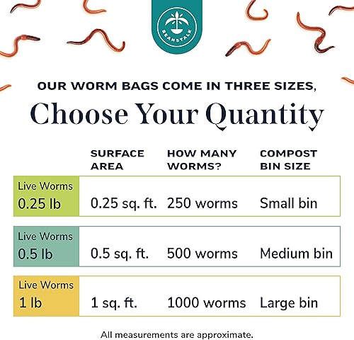 Miniatura 6 de Beanstalk Worms (500 gusanos, 0.5 libras), gusanos de compostación de los molinillos rojos, gusanos de la tierra viven para el jardín