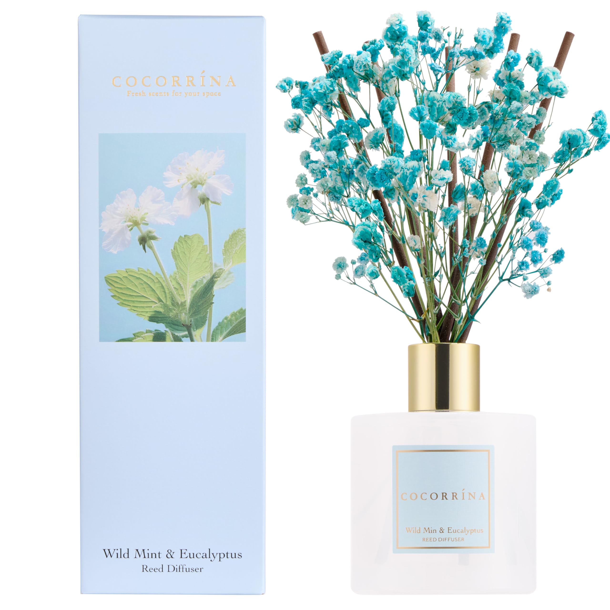 COCORRÍNA Reed Diffuser Set, 200ml Wild Mint & Eucalyptus Scented Diffuser with Sticks Home Fragrance for Bedroom Bathroom Living Room, Home & Office Decor — image 1