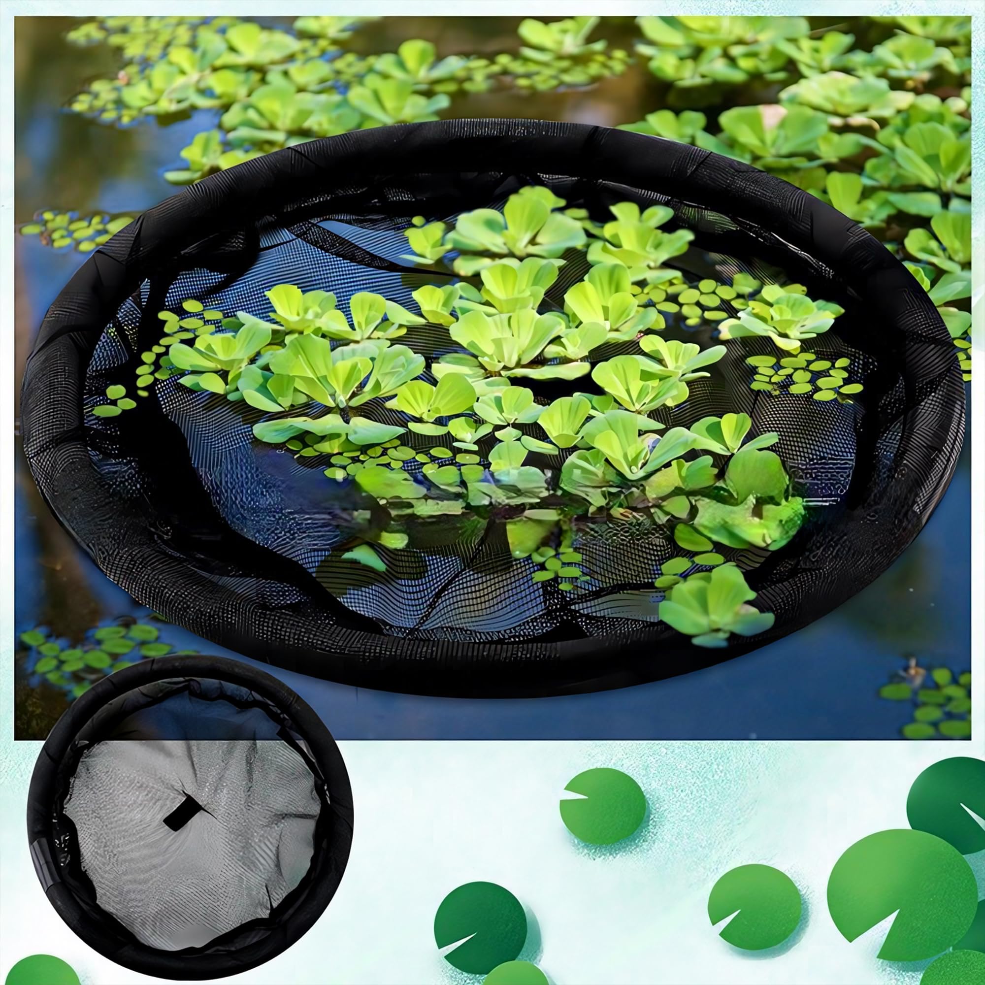 floating-plants-for-pond