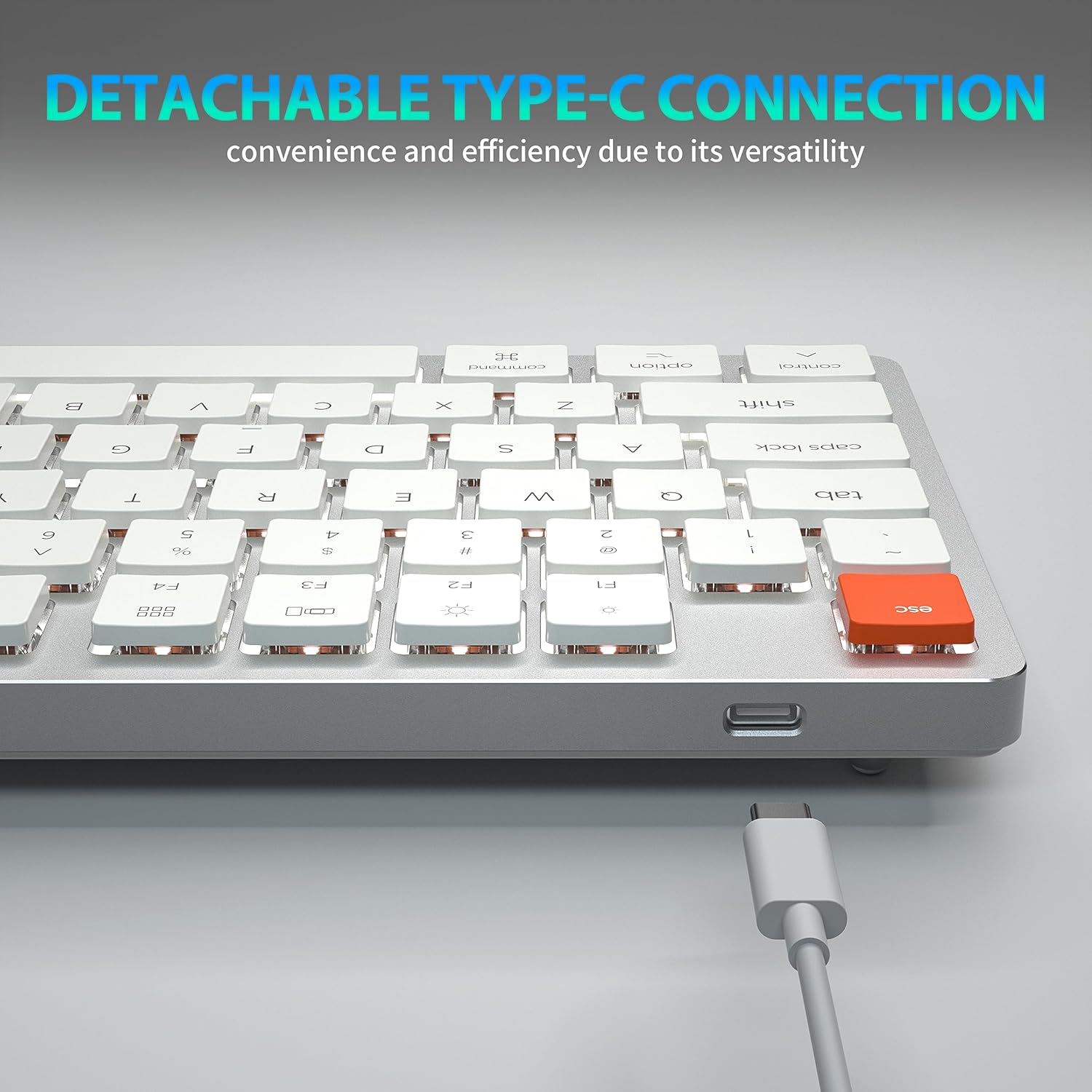 Detachable USB Type-C Connection Port