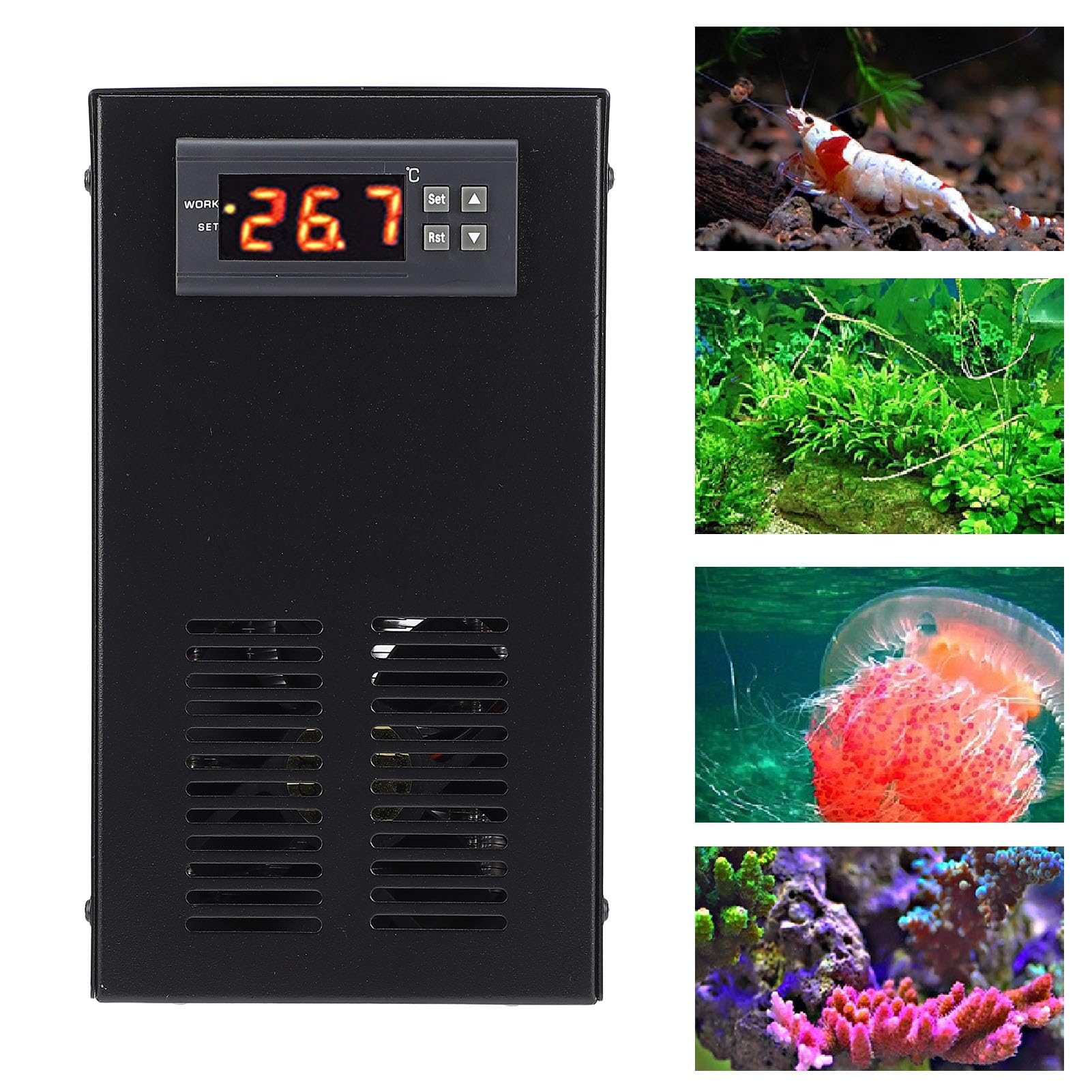FTVOGUE Enfriador de Acuario, Pantalla Digital, Temperatura Ajustable, Enfriador de Tanque de Peces con Estructura Estable para Tanque de Plantas Marinas de Agua Dulce de 20L (Enchufe de la UE)