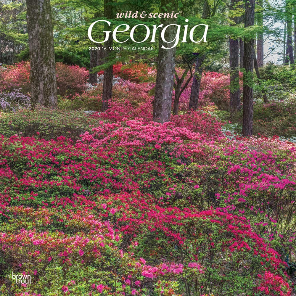 Georgia Wild & Scenic 2020 12 x 12 Inch Monthly Square Wall Calendar, USA United States of America Southeast State Nature (English, Spanish and French Edition)
