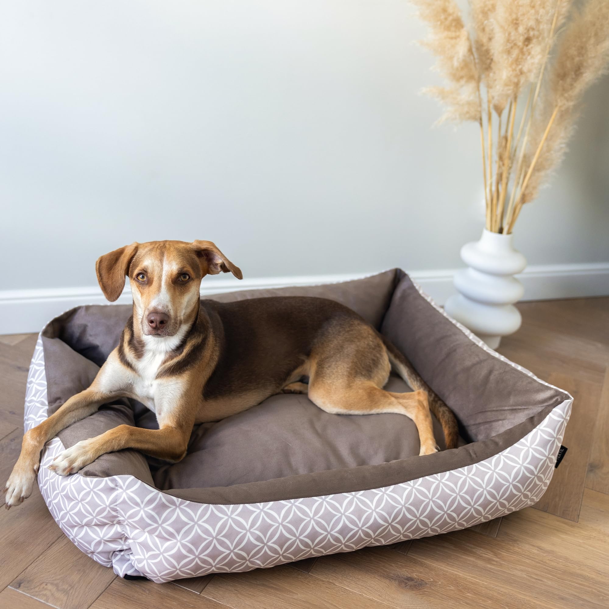 Cani Divani Ortopedici Cuscino Cani Cuccia Cane Ortopedica