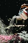 Behrens Manufacturing 6923213 Metal Sprinkling Can - 10 qt.