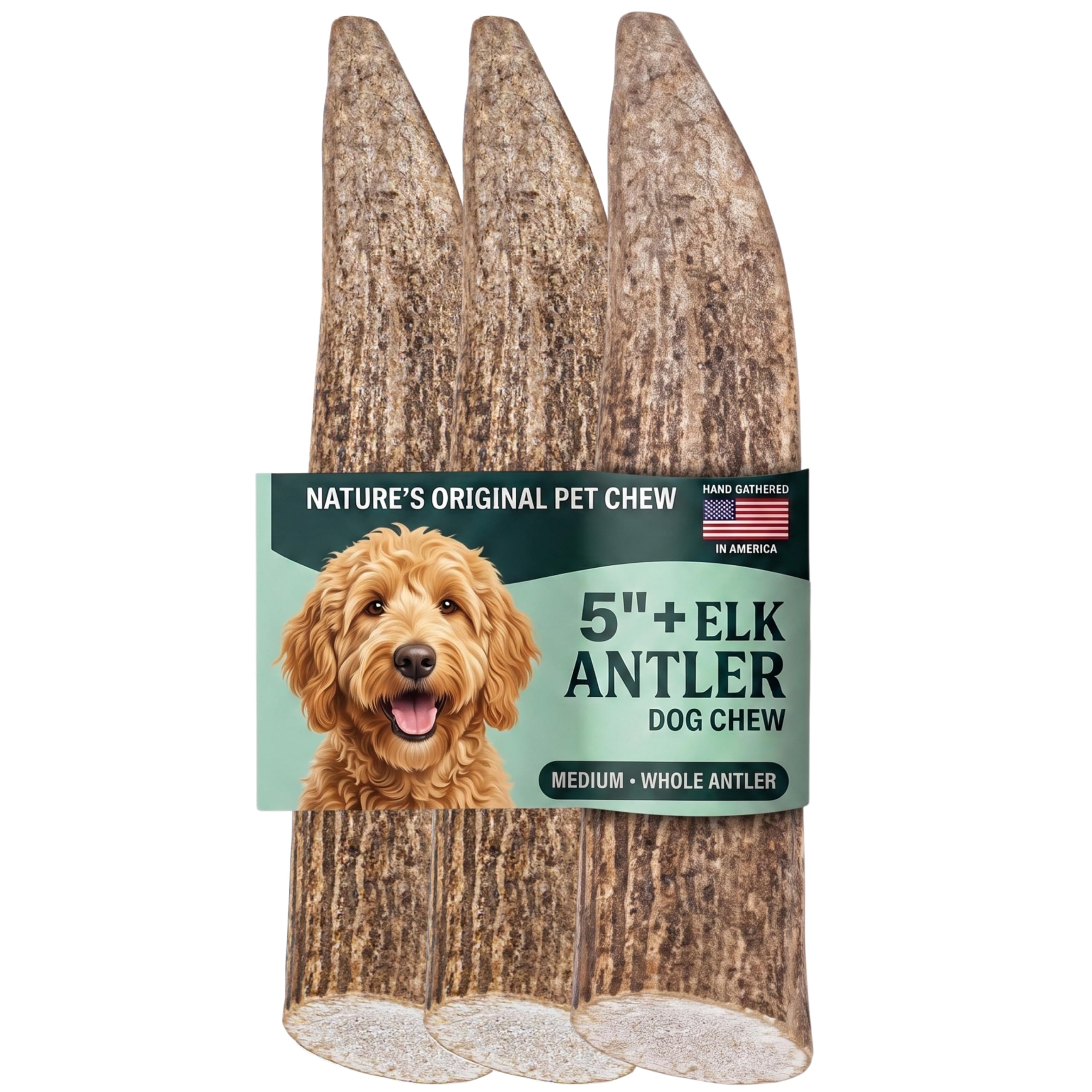 Mountain Valley Elk Antlers for Dogs Chew Whole Dog Antler,3Pack, M