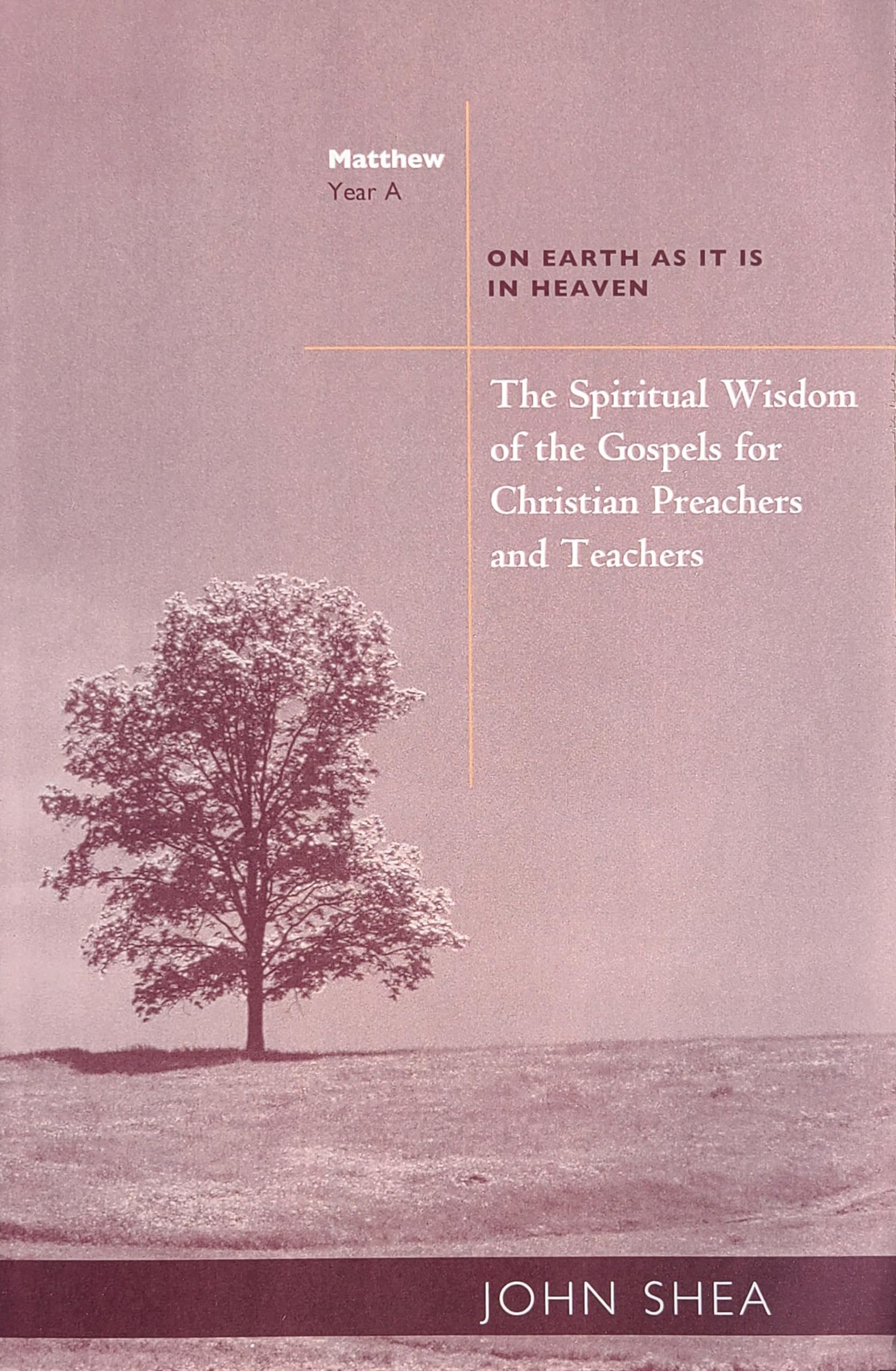 The Spiritual Wisdom of the Gospels for Christian Preachers and Teachers: On Earth as It Is in Heaven Year A: 1