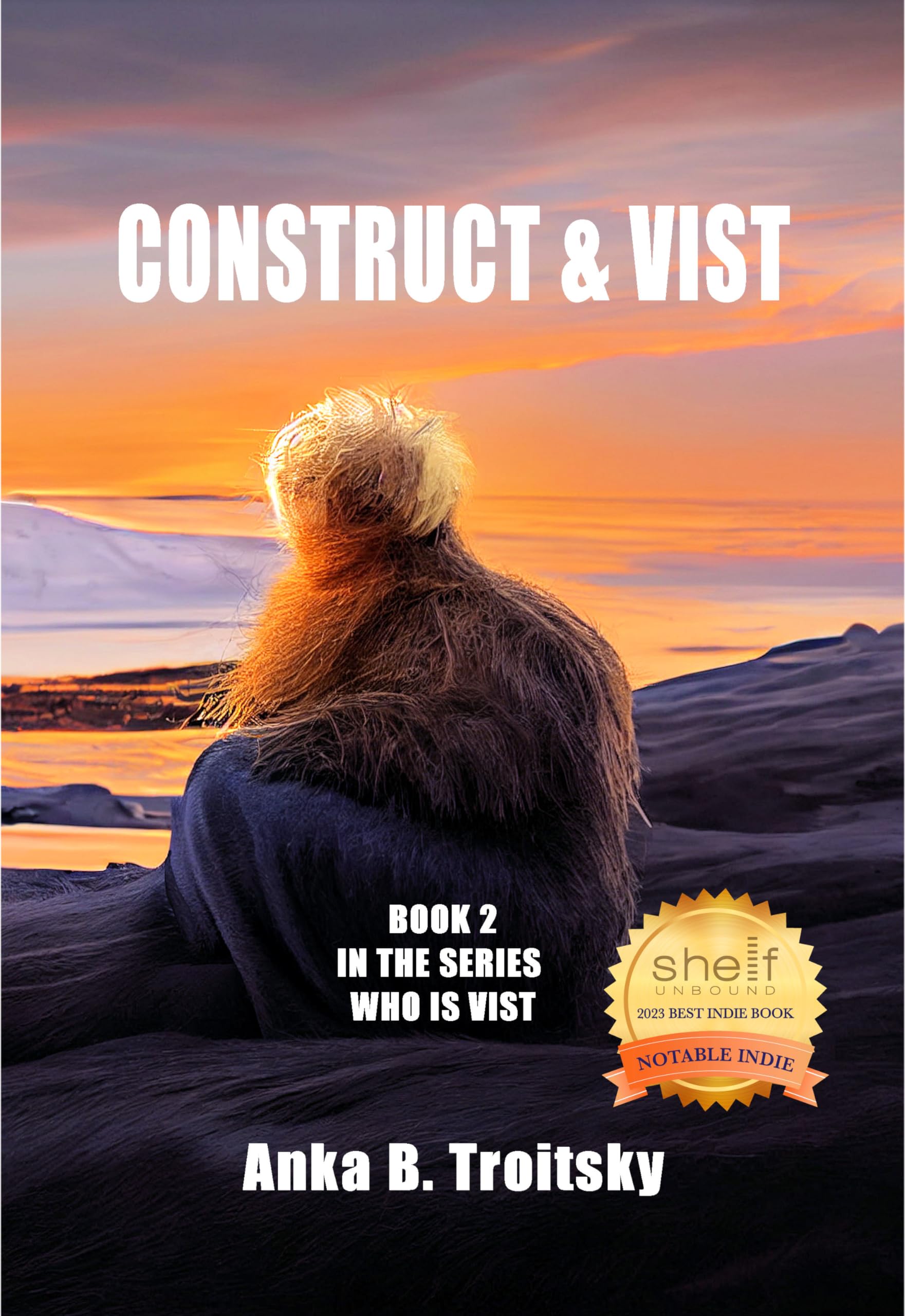 Cover of Construct & Vist