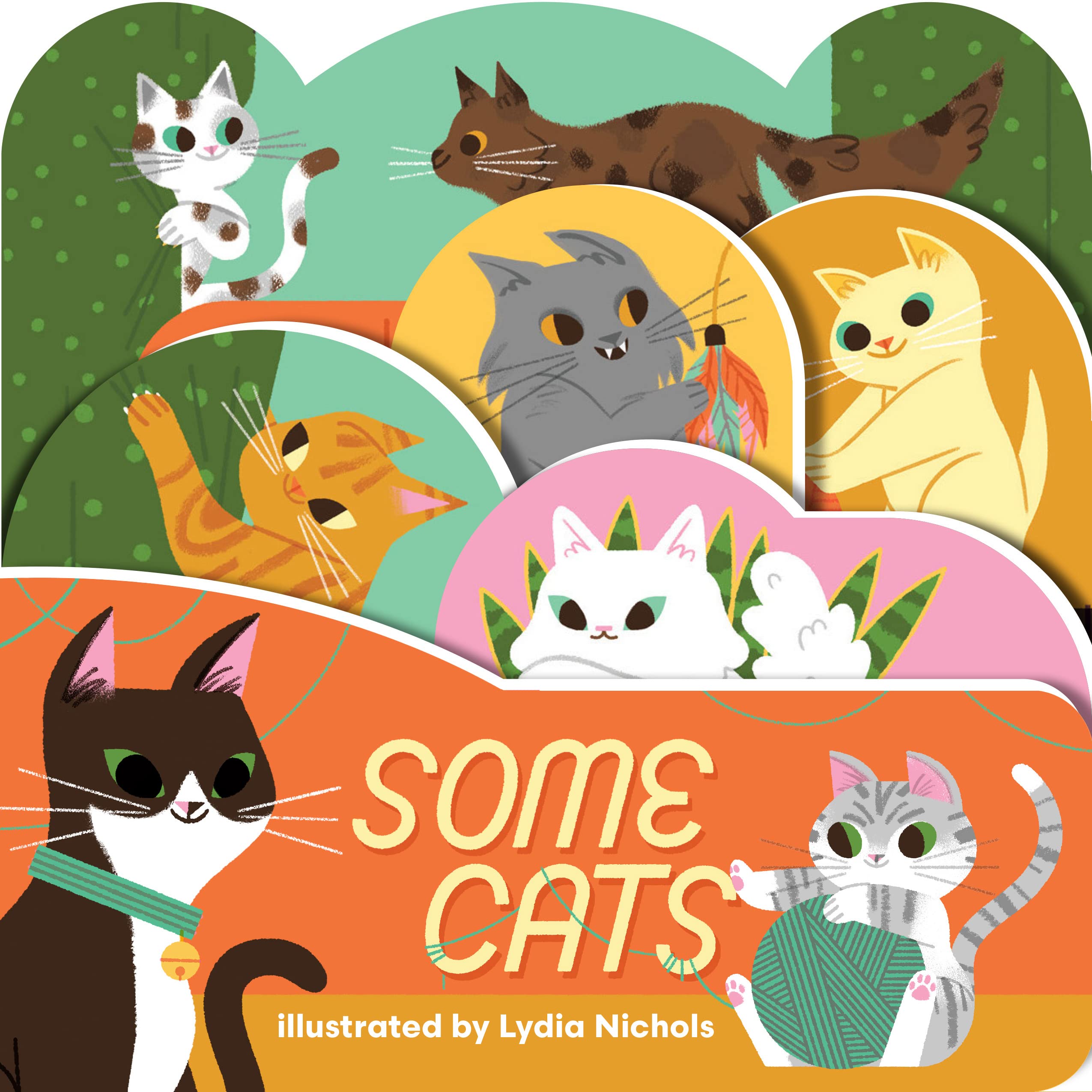 Some Cats: Nichols, Lydia: 9781423665175: Books - Amazon.ca