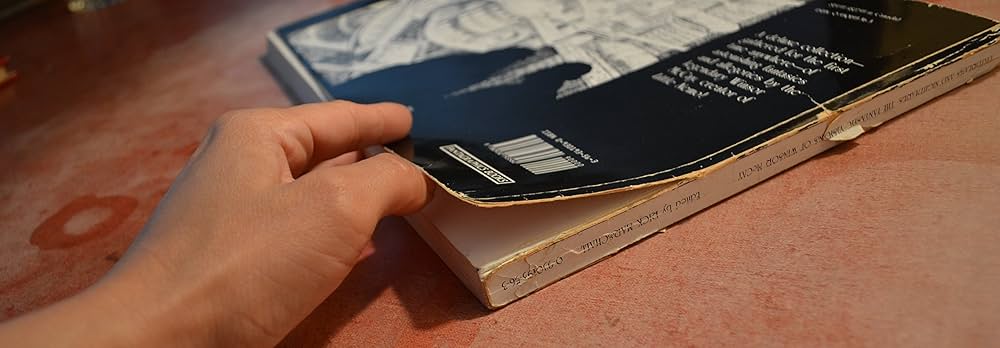 Amazon.com: Daydreams and Nightmares: 9780930193560: McCay, Winsor