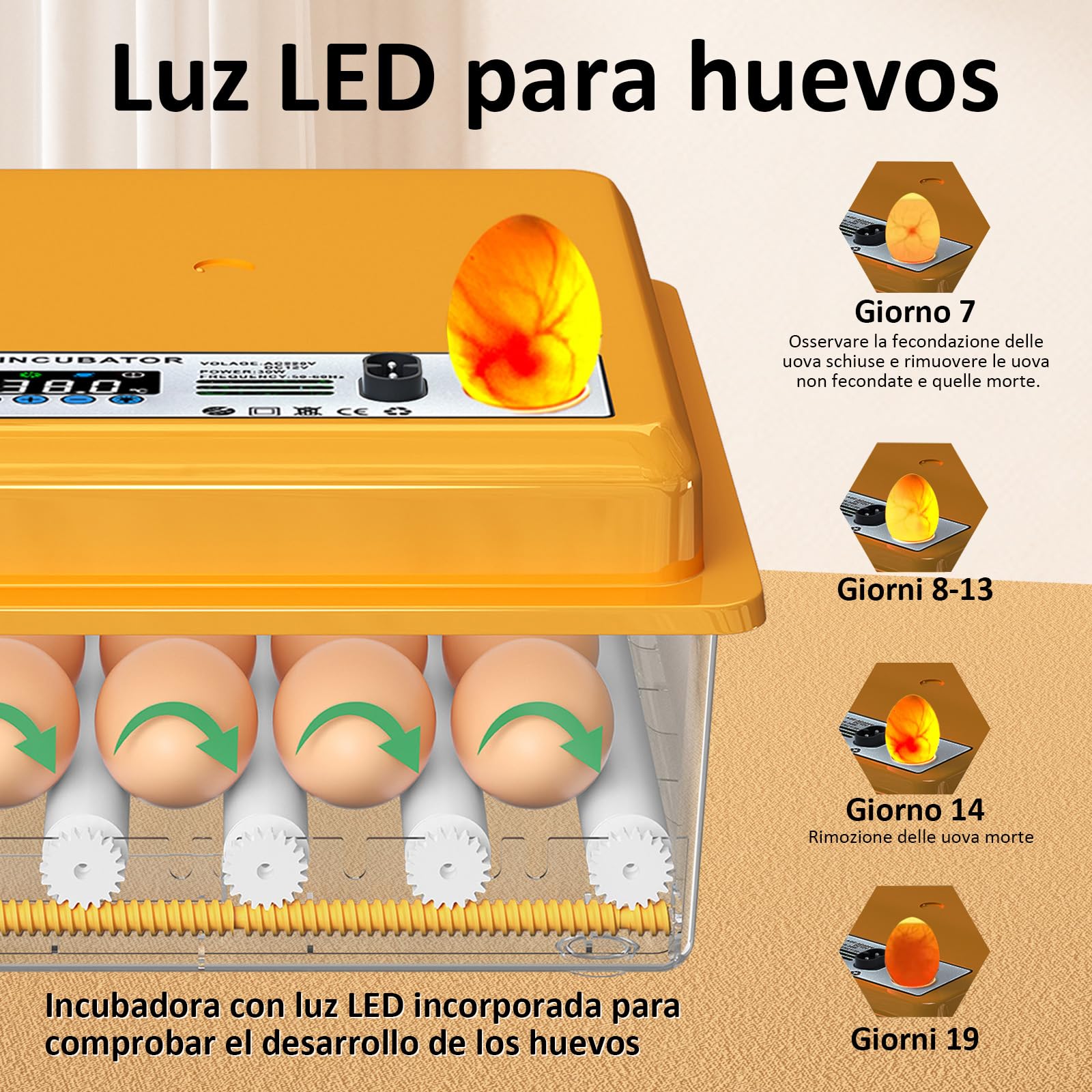 Incubadora Huevos Gallina con Control de Temperatura y Rotación Automática para 16 Huevos, Incubadora de Huevos Automática con Rodillos Ajustables y Adición Automática de Agua