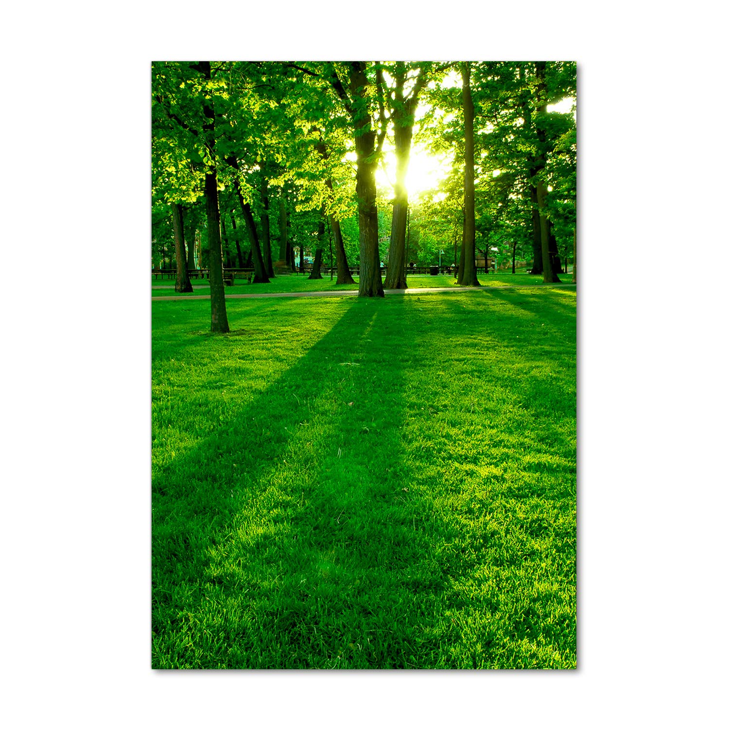 Photo panoramique sur verre 60x120 cm de paysage vert pour mur de cuisine