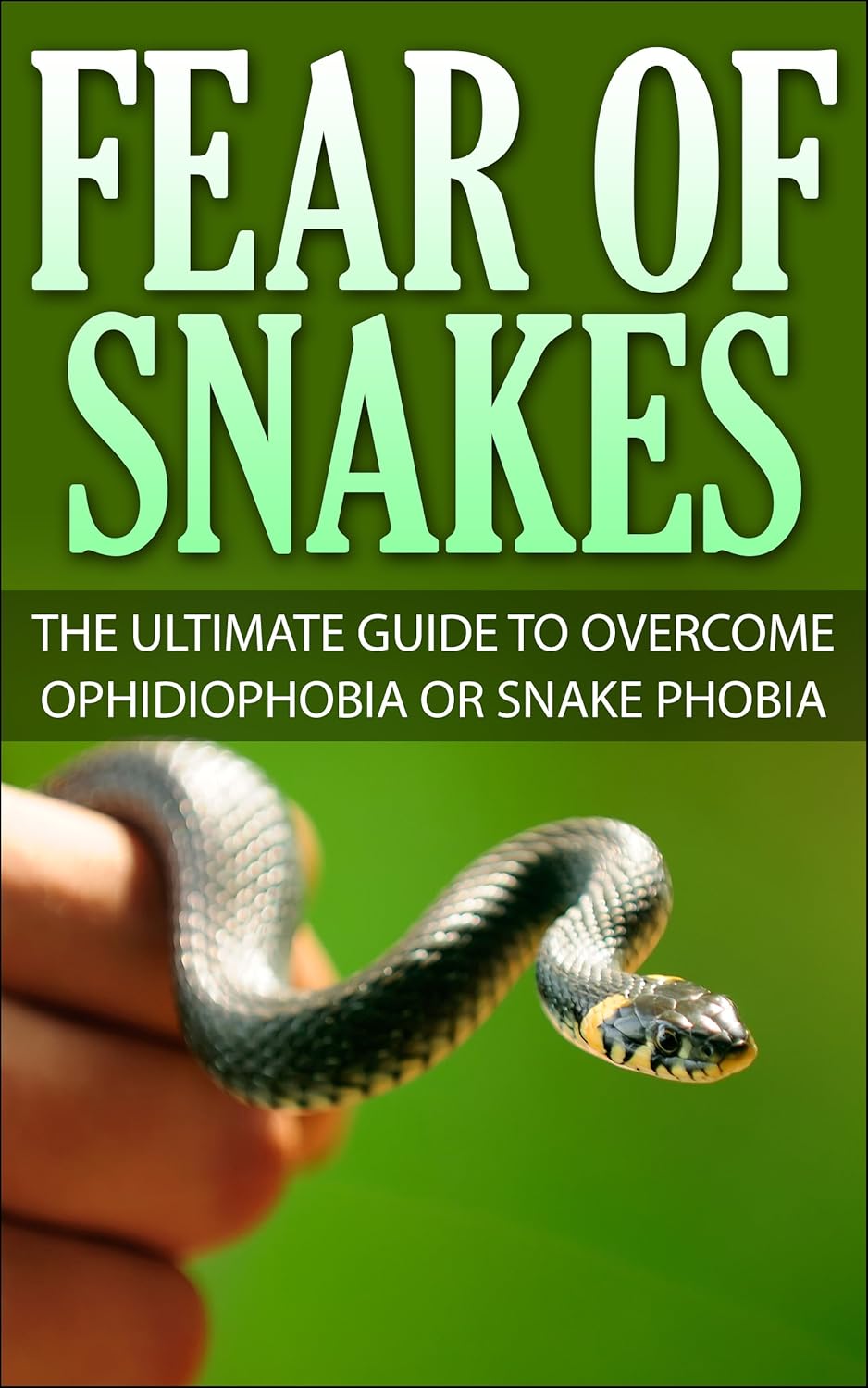 Fear Of Snakes The Ultimate Guide To Ophidiophobia Or Snake
