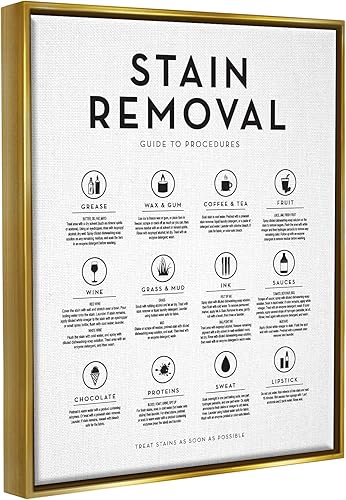 Miniatura 2 de Stupell Industries Guía de eliminación de manchas de lavandería Tabla de símbolos útiles, diseño con letras y forradas, marco flotante dorado, 16 x